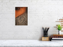 Load image into Gallery viewer, 4841041-1114570