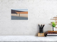 Load image into Gallery viewer, 4841456-1114621