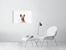 Load image into Gallery viewer, 4844875-1115094