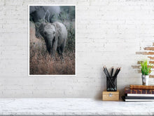 Load image into Gallery viewer, 4844879-1115089