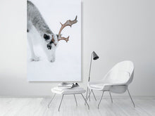 Load image into Gallery viewer, 4838595-1114305