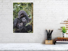 Load image into Gallery viewer, 4844682-1115148