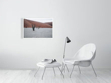 Load image into Gallery viewer, 4841440-1114639