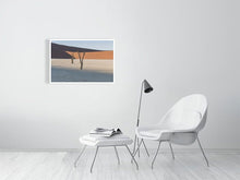 Load image into Gallery viewer, 4841456-1114623