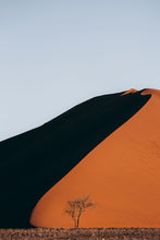 Load image into Gallery viewer, Slide