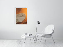 Load image into Gallery viewer, 4844646-1115174