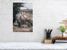 Load image into Gallery viewer, 4844707-1115128