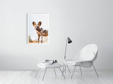 Load image into Gallery viewer, 4839725-1114351