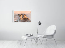 Load image into Gallery viewer, 4844908-1115105