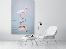 Load image into Gallery viewer, 4844689-1115146