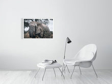 Load image into Gallery viewer, 4839073-1114337