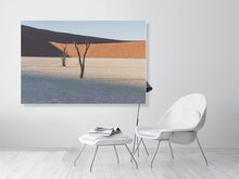 Load image into Gallery viewer, 4841456-1114624