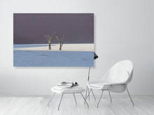 Load image into Gallery viewer, 4844666-1115163