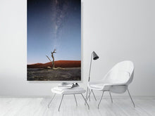 Load image into Gallery viewer, 4841449-1114636