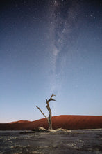 Load image into Gallery viewer, Eternal