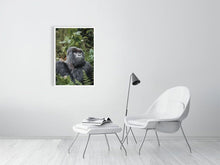 Load image into Gallery viewer, 4844672-1115153