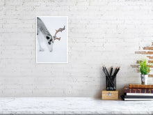 Load image into Gallery viewer, 4838595-1114302